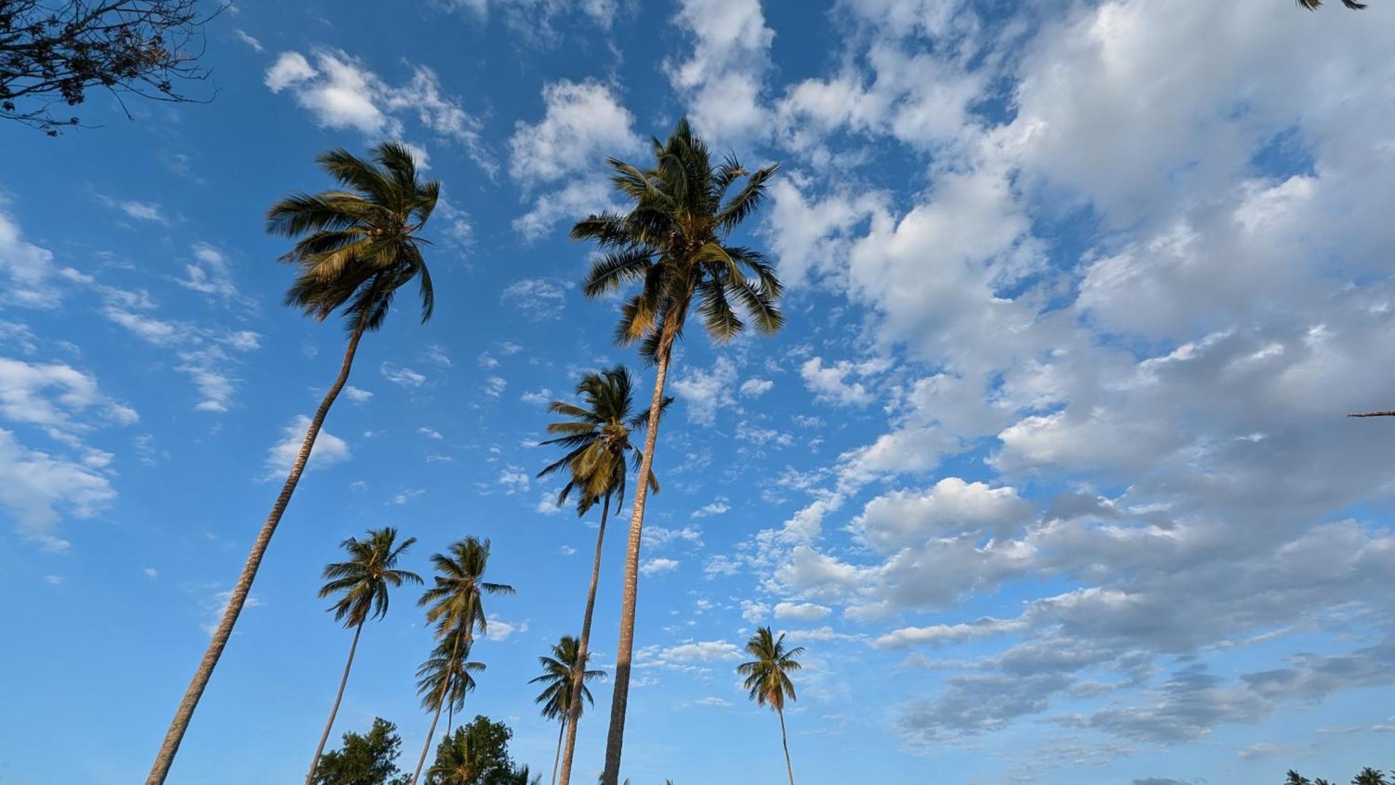 Villa Adelina Zanzibar Exteriör bild